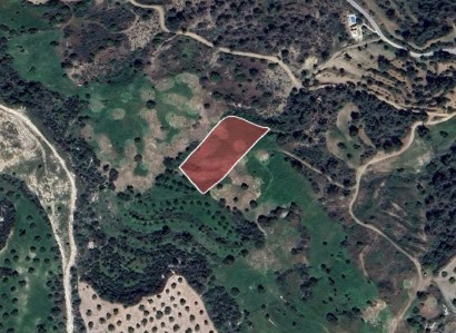 Peristerona, Paphos Agricultural Field For Sale | WW26831