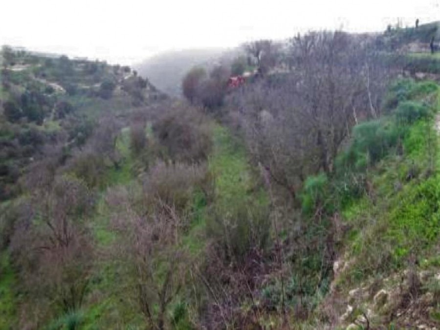 Kallepeia, Paphos Agricultural Field For Sale | WW26975