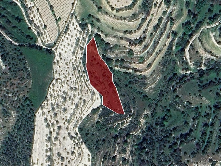 Field - Kallepeia, Paphos