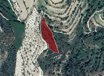 Kallepeia, Paphos Agricultural Field For Sale | WW26975