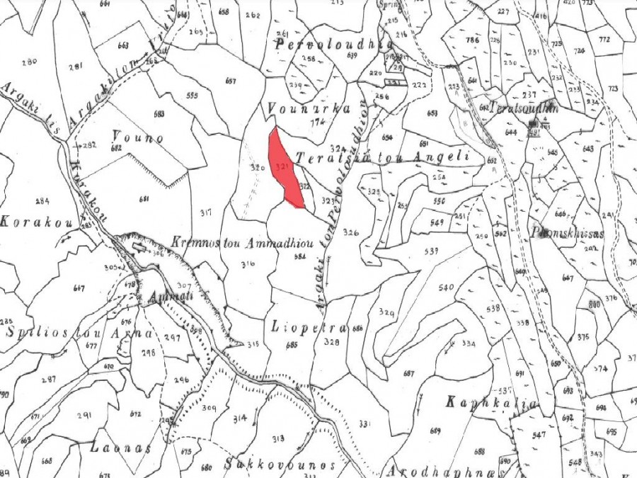 Field - Kallepeia, Paphos