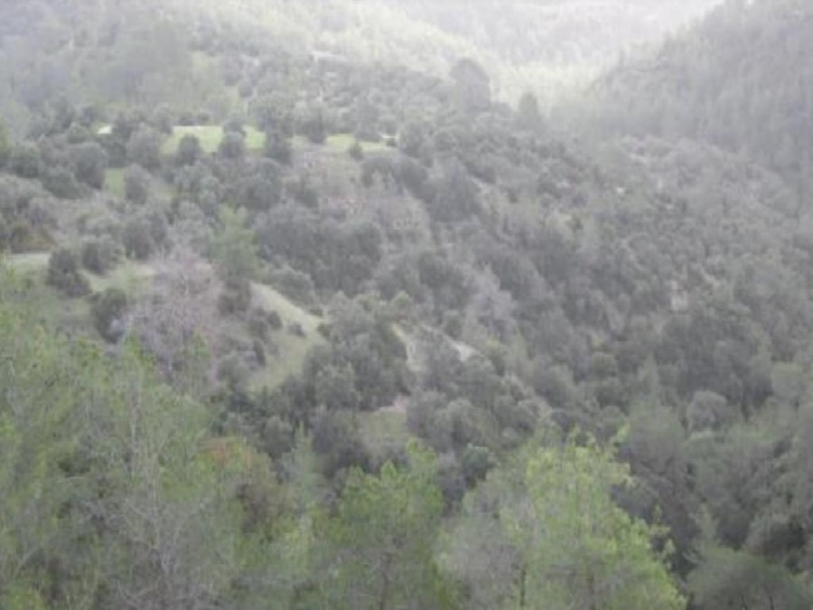 Amargeti, Paphos Agricultural Field For Sale | WW26976