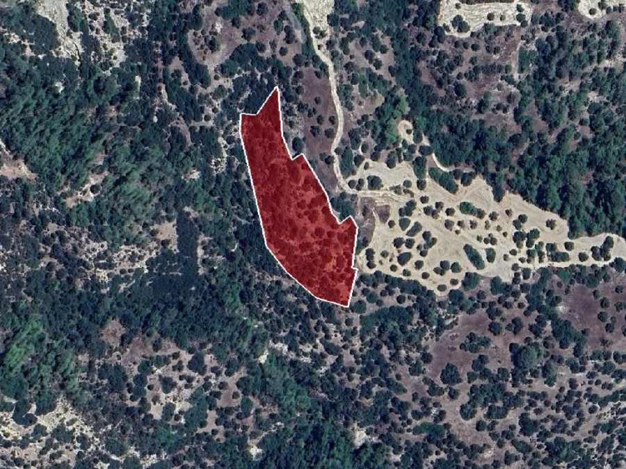 Field - Amargeti, Paphos