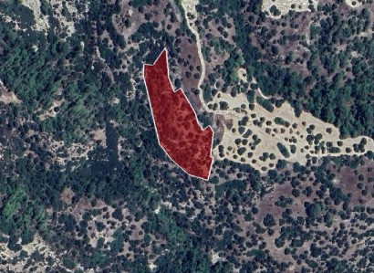 Amargeti, Paphos Agricultural Field For Sale | WW26976