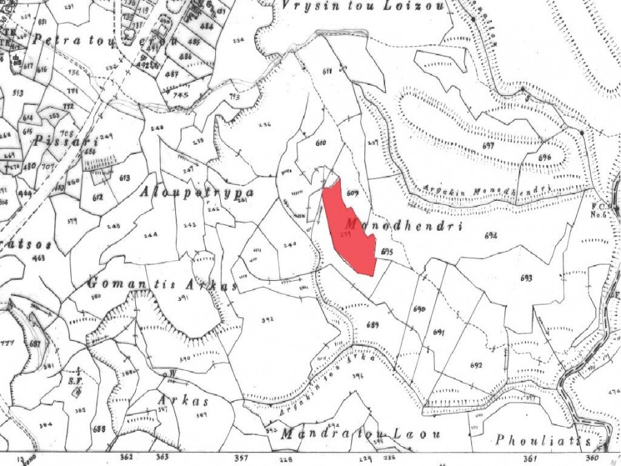Field - Amargeti, Paphos