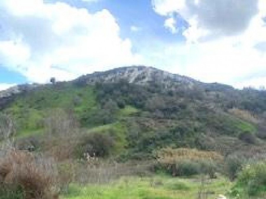Episkopi, Paphos Agricultural Field For Sale | WW26986