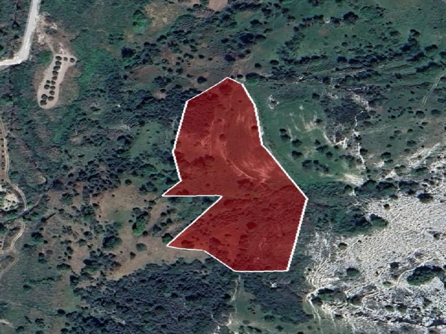 Field - Episkopi, Paphos