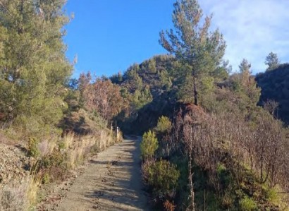 Platres, Limassol Residential Field For Sale | WW26993