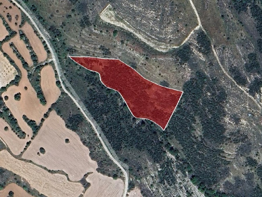 Field - Tsada, Paphos