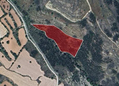 Tsada, Paphos Agricultural Field For Sale | WW27003