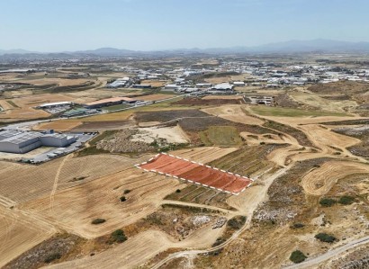 Dali, Nicosia Industrial Field For Sale | WW27025