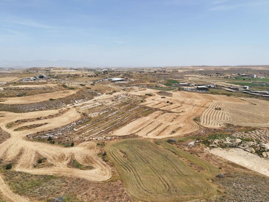 Field - Dali, Nicosia