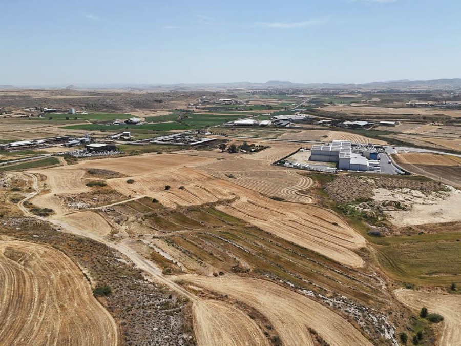 Field - Dali, Nicosia