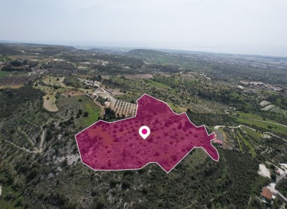 Mesogi, Paphos Agricultural Field For Sale | WW12088