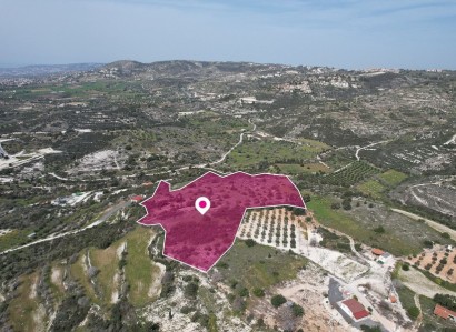 Mesogi, Paphos Agricultural Field For Sale | WW12088