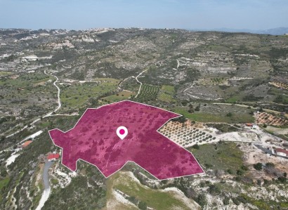 Mesogi, Paphos Agricultural Field For Sale | WW12088