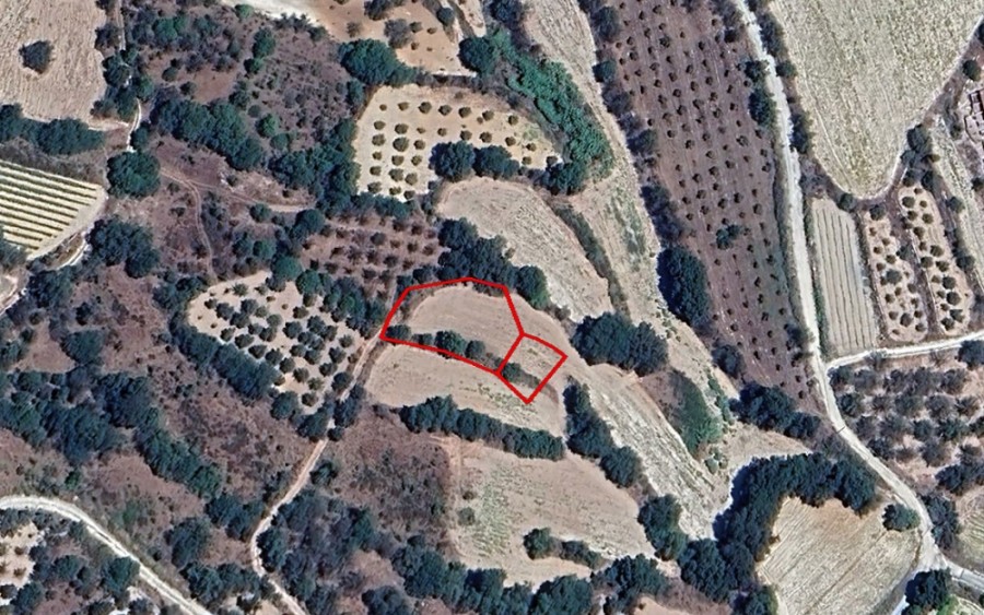 Amargeti, Paphos Agricultural Field For Sale | WW27178