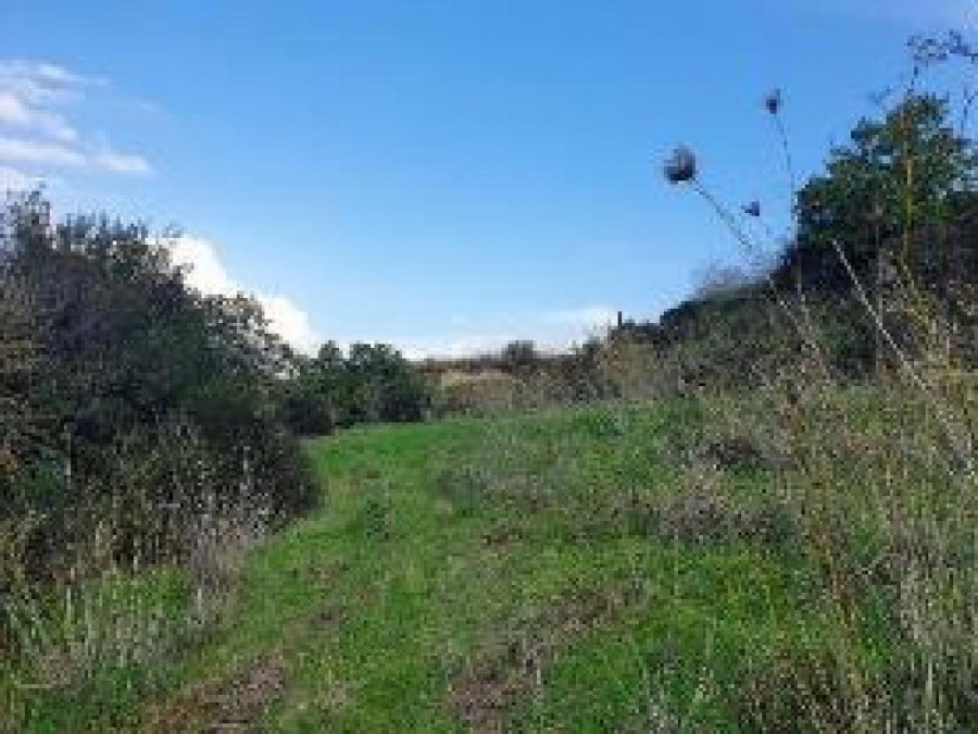 Kallepeia, Paphos Agricultural Field For Sale | WW27207