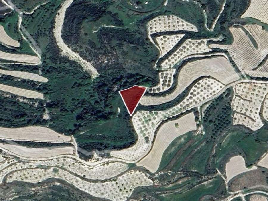 Field - Kallepia, Paphos