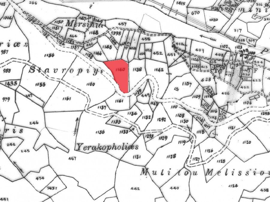 Field - Pomos, Paphos