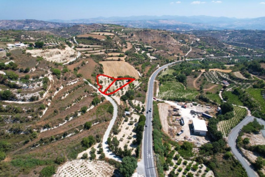 Residential Field For Sale  in  Tsada