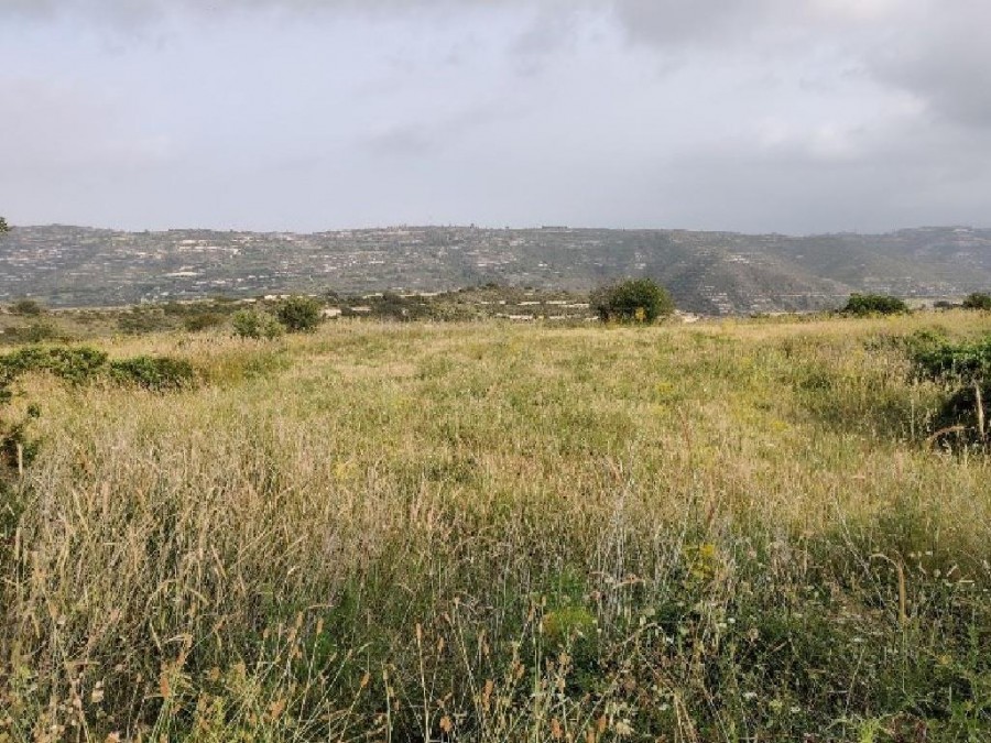 Vouni, Limassol Agricultural Field For Sale | WW27278