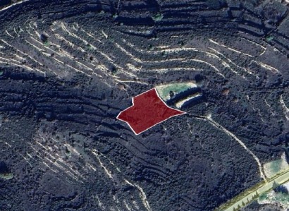 Vouni, Limassol Agricultural Field For Sale | WW27278
