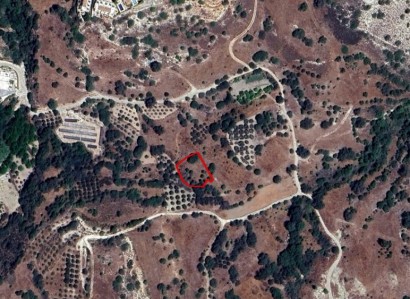 Mesa Chorio, Paphos Agricultural Field For Sale | WW27361