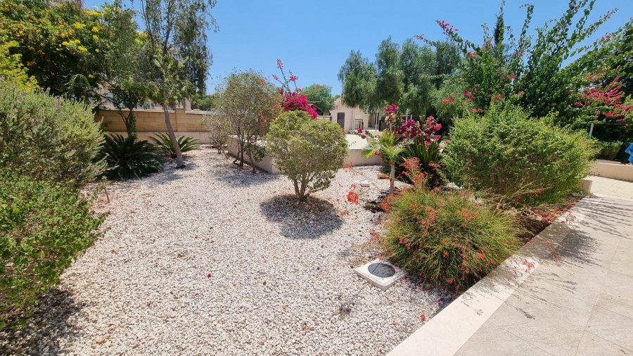 Detached Villa For Rent  in  Kouklia - Secret Valley