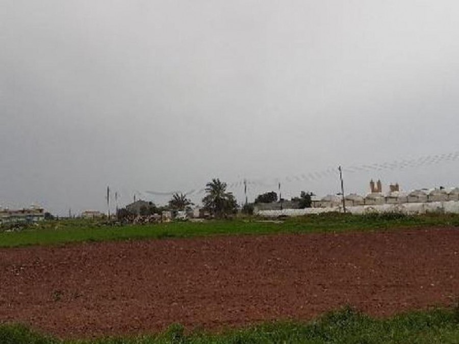 Field (share) - Deryneia, Famagusta