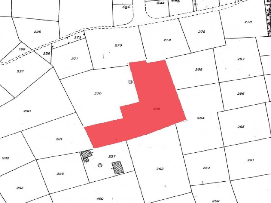Field (share) - Deryneia, Famagusta