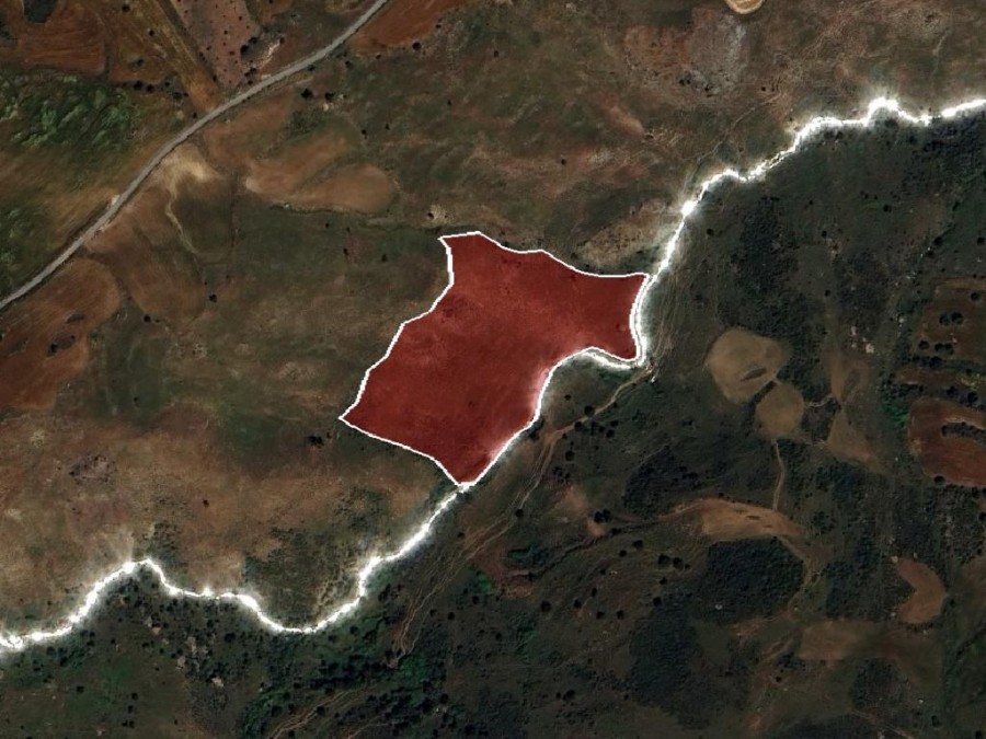 Field - Drouseia, Paphos