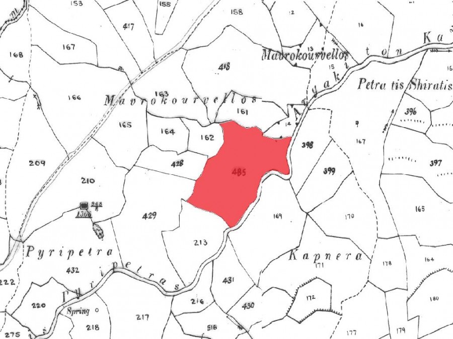 Field - Drouseia, Paphos