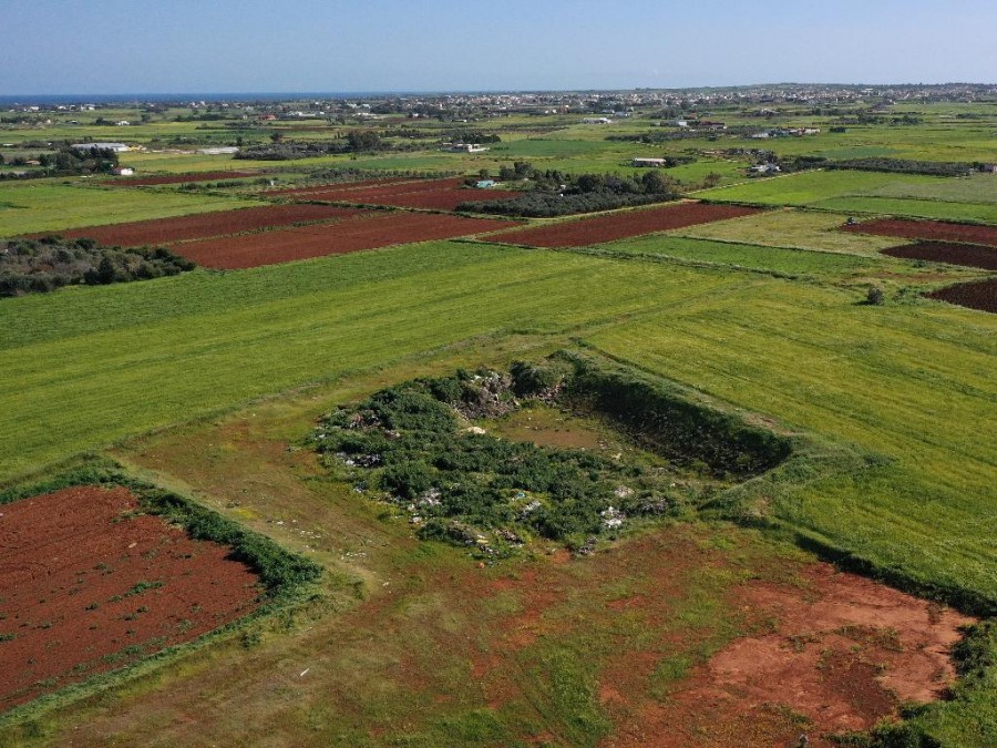 Field - Avgorou, Famagusta