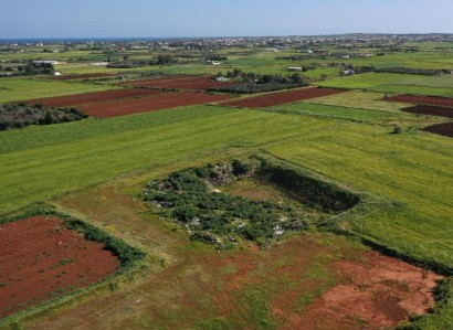 Avgorou, Famagusta Agricultural Field For Sale | WW27429