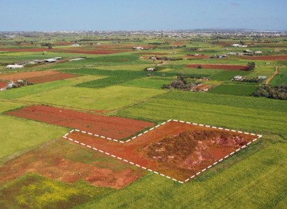Avgorou, Famagusta Agricultural Field For Sale | WW27429