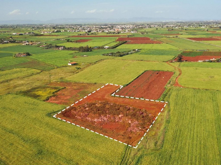 Field - Avgorou, Famagusta