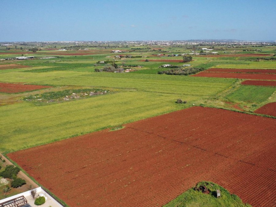 Field - Avgorou, Famagusta