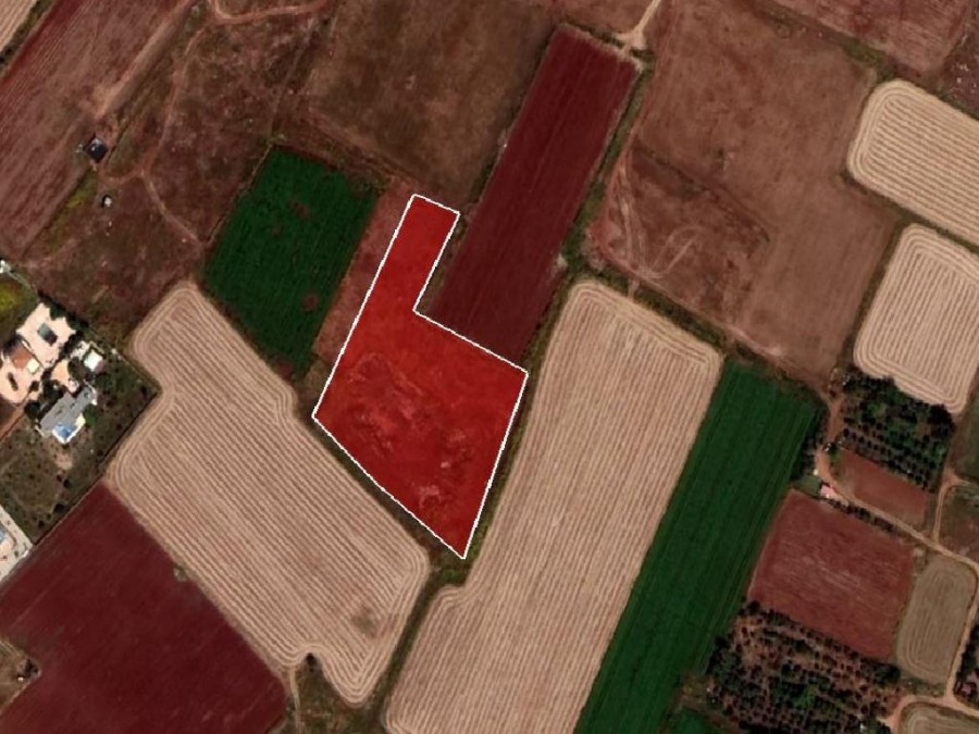 Field - Avgorou, Famagusta