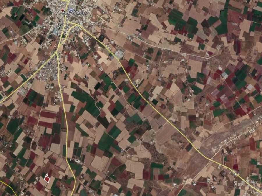 Field - Avgorou, Famagusta