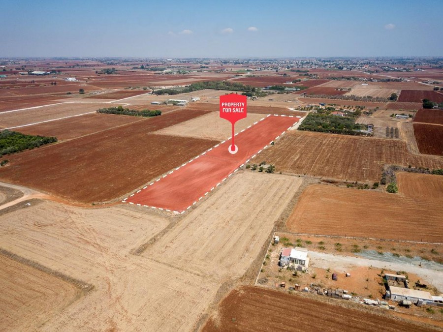 Avgorou, Famagusta Agricultural Field For Sale | WW27483