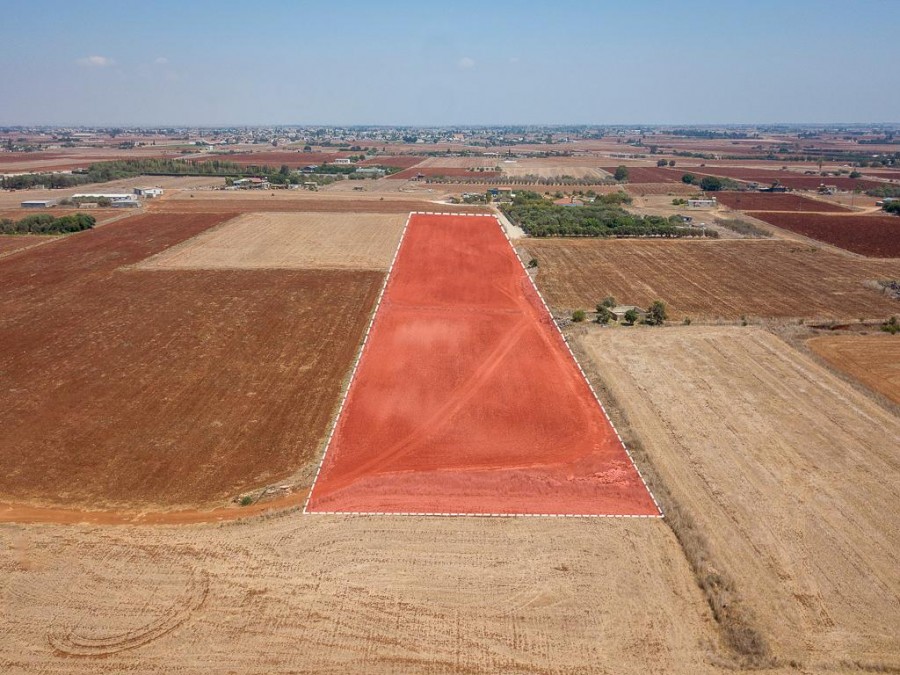 Field - Avgorou, Famagusta