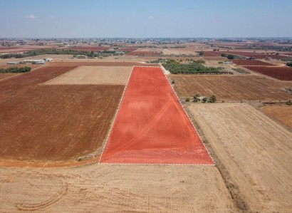 Avgorou, Famagusta Agricultural Field For Sale | WW27483