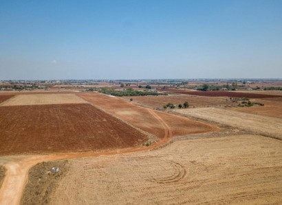 Avgorou, Famagusta Agricultural Field For Sale | WW27483