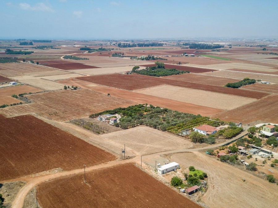 Field - Avgorou, Famagusta