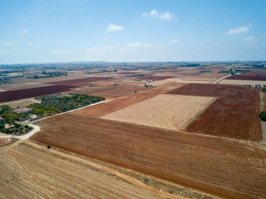 Field - Avgorou, Famagusta