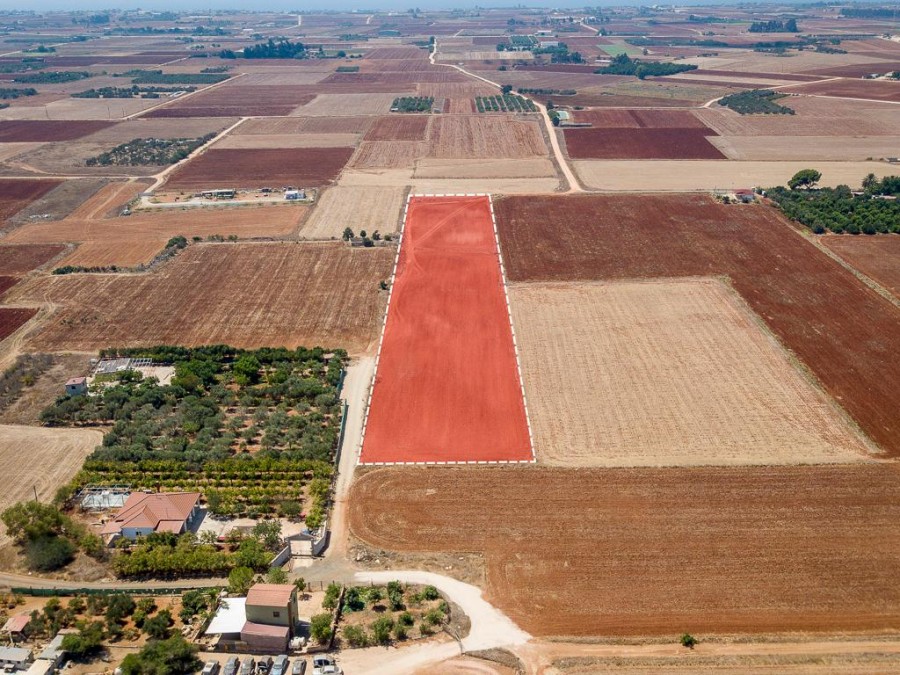 Field - Avgorou, Famagusta