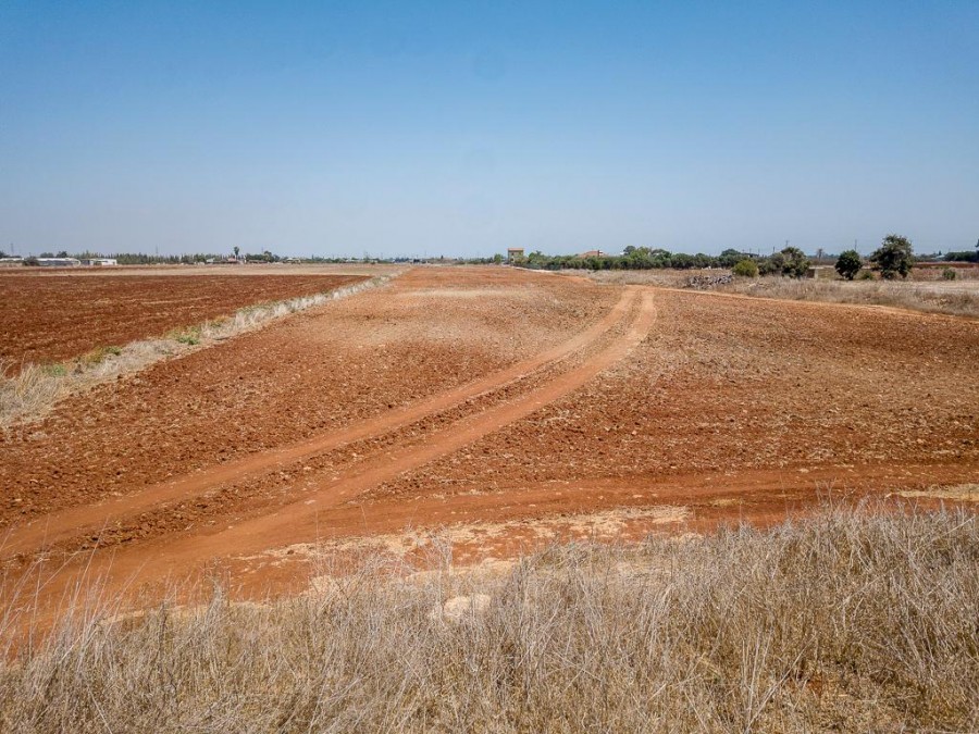 Field - Avgorou, Famagusta