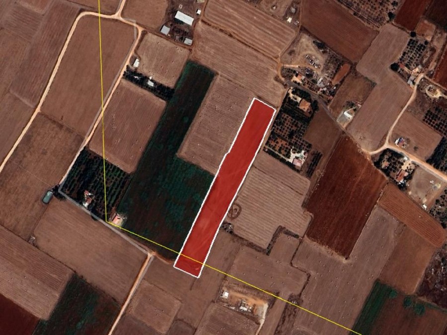 Field - Avgorou, Famagusta