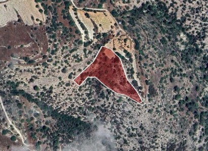 Letymvou, Paphos Agricultural Field For Sale | WW27514